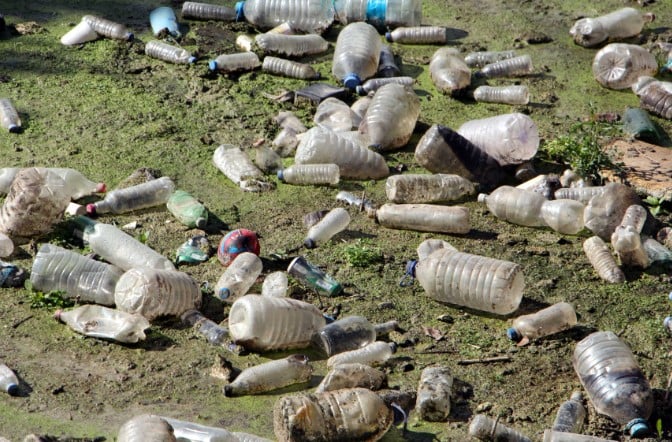 Tunca Nehri otlarla kaplandı. Bayır Deresi çöplüğe döndü 2