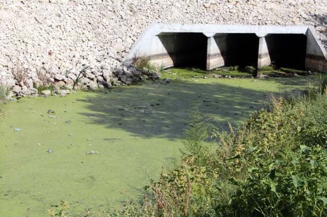 Tunca Nehri otlarla kaplandı. Bayır Deresi çöplüğe döndü 3