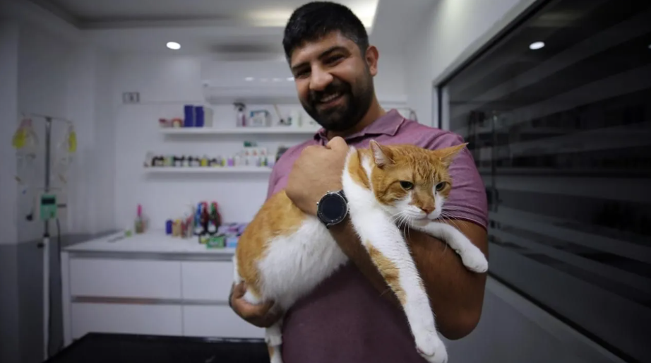 Türkiye'de bir ilk. Kedi mide botoksuyla kilo verdi 10