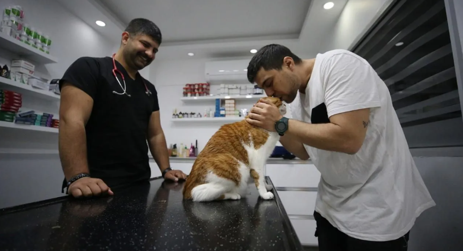 Türkiye'de bir ilk. Kedi mide botoksuyla kilo verdi 4