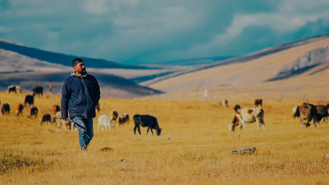 Ardahan'ın Göle ilçesine güz renkleri hakim oldu 2