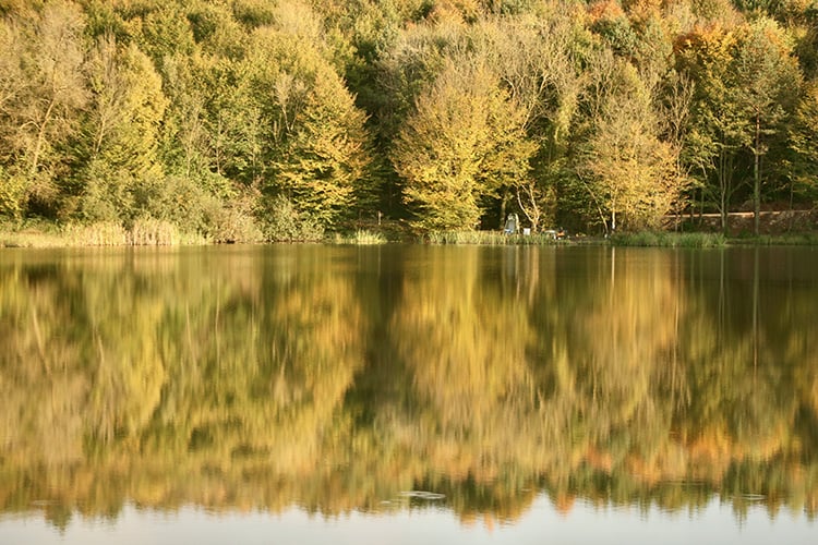 Kurugöl Tabiat Parkı'ndan büyüleyen fotoğraflar 4