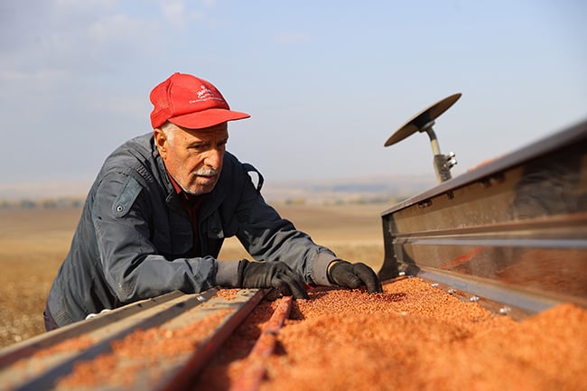 Edirne'de buğday ekimi başladı 2