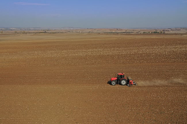 Edirne'de buğday ekimi başladı 3