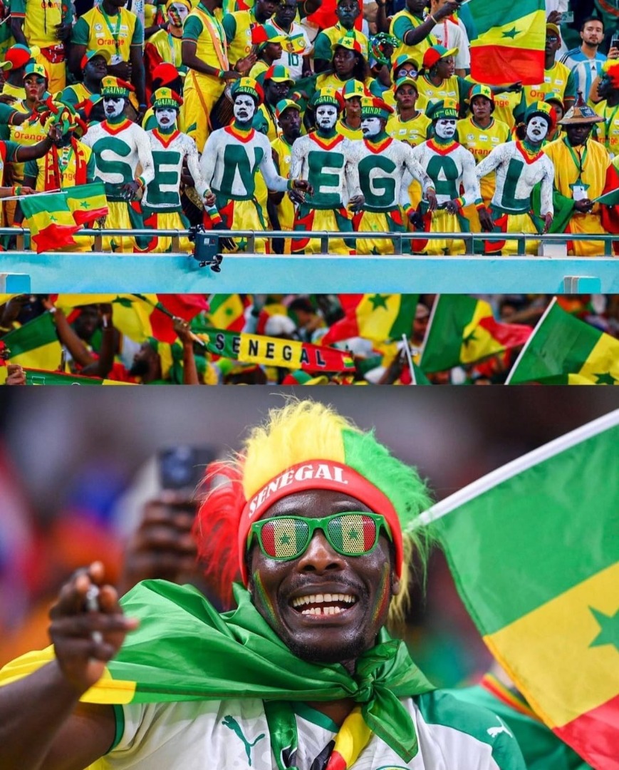 Senegal sahada kaybetti sosyal medyada kazandı 2