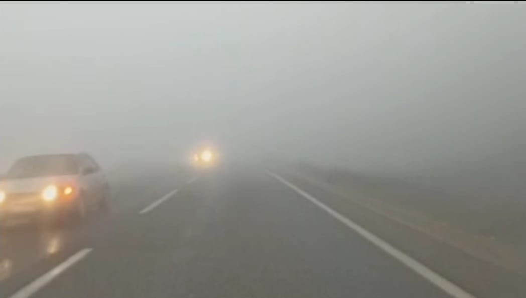 Gaziantep’te yoğun sis etkili oldu 2