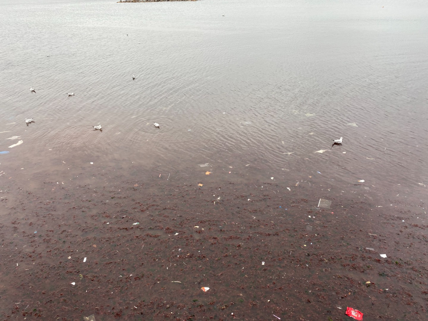 Lodos vurdu deniz kirliliği ortaya çıktı. Sahili plastik atıklar kapladı 2