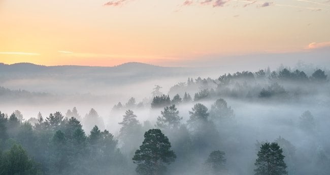 Meteoroloji 41 ili uyardı. Lapa lapa ile kar geliyor 7