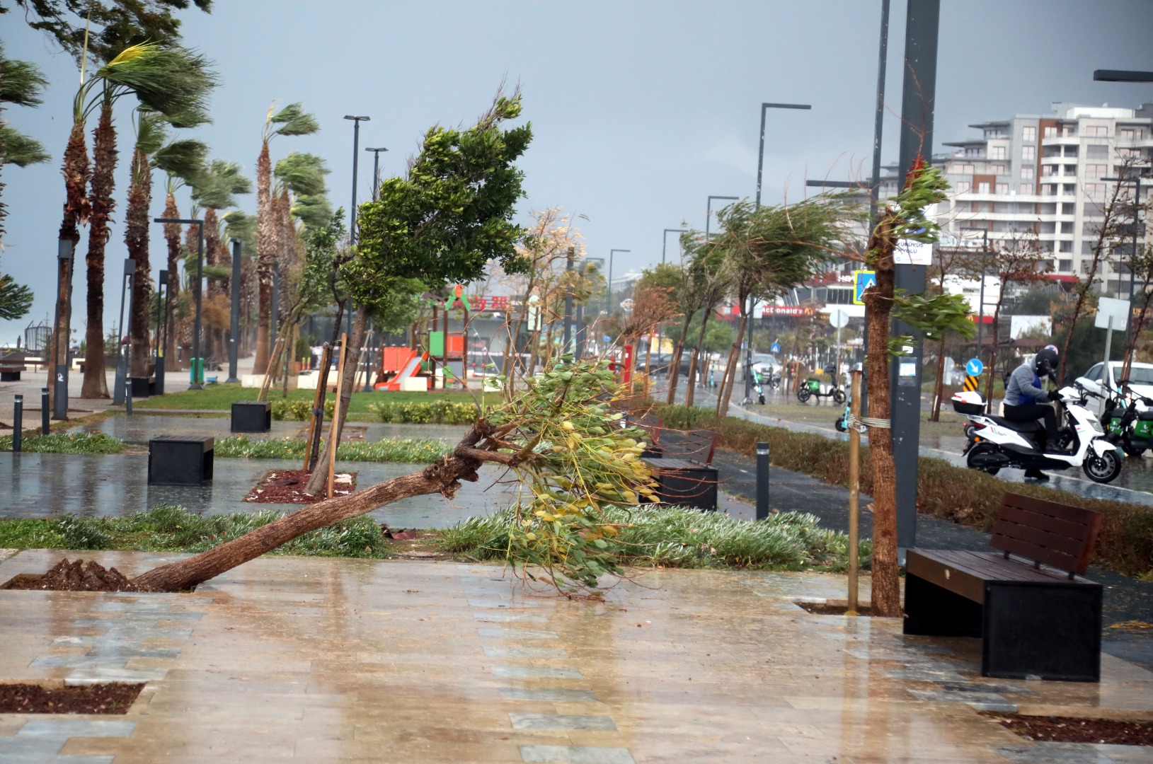 Antalya'da fırtına ve sağanak yağış hayatı durma noktasına getirdi. Yollar göle döndü ağaçlar devrildi 22