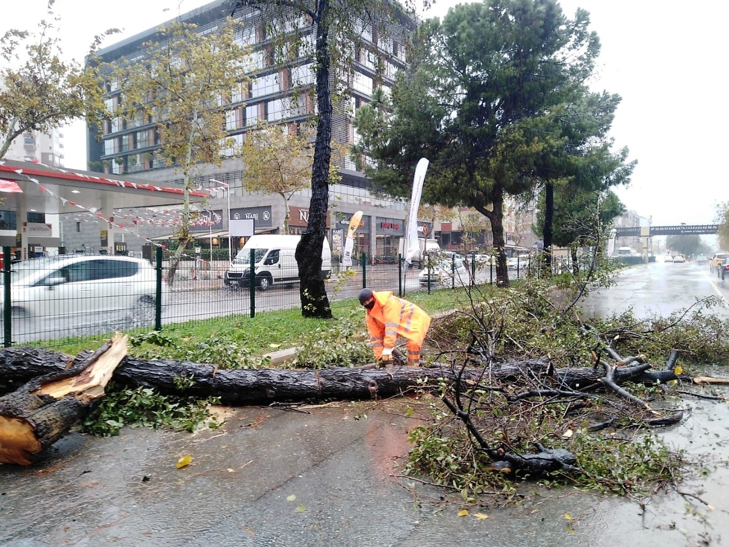 Antalya'da fırtına ve sağanak yağış hayatı durma noktasına getirdi. Yollar göle döndü ağaçlar devrildi 7