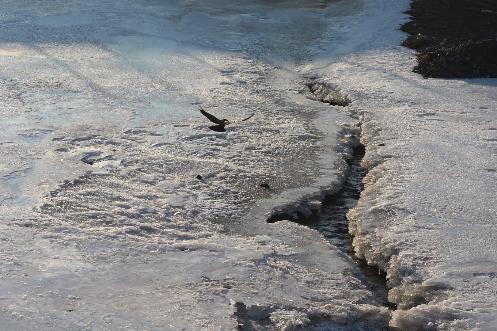 Aras Nehri'nin büyük bölümü buz tuttu 8
