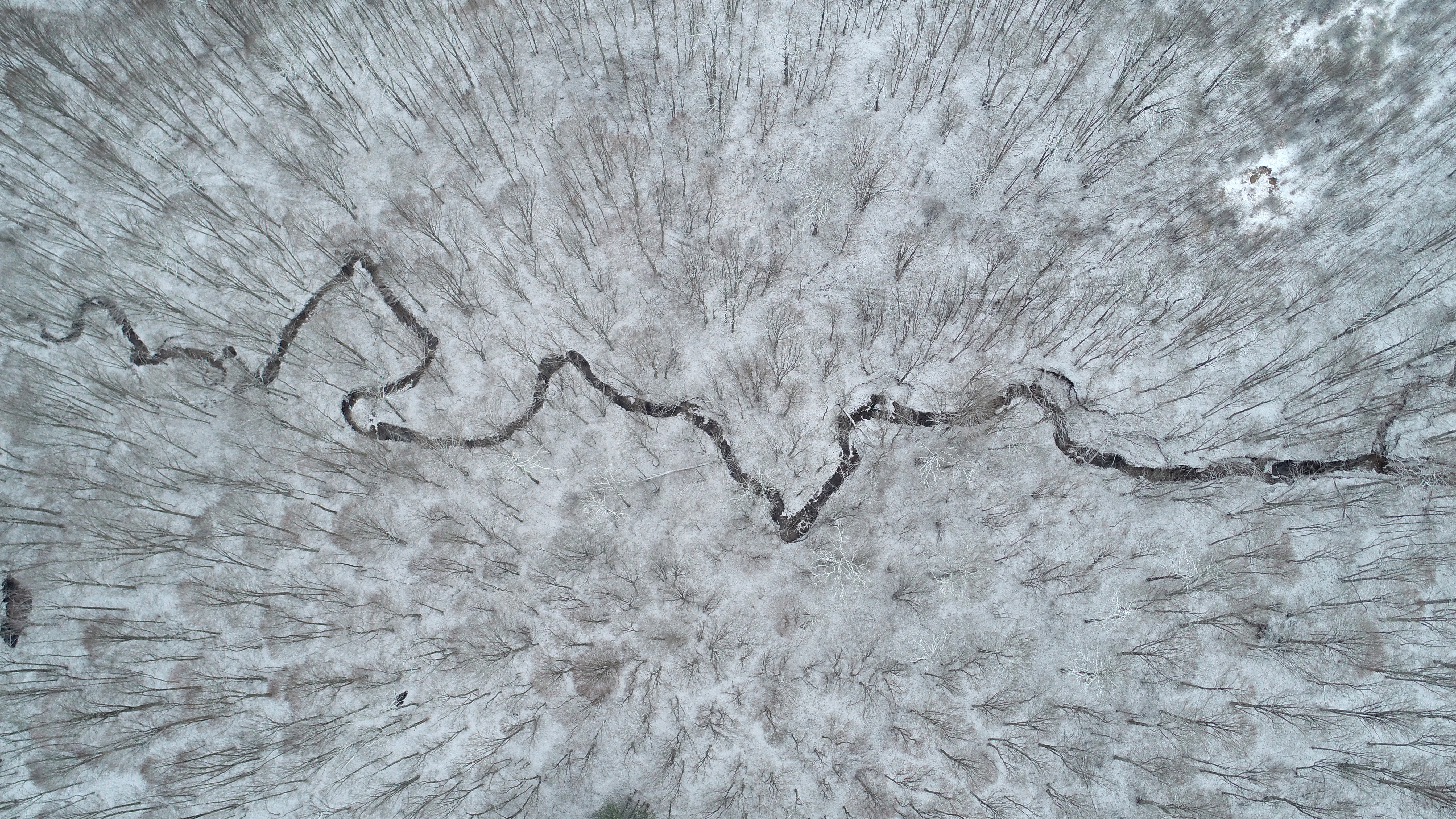 Karla kaplanan Istranca ormanları havadan görüntülendi 8