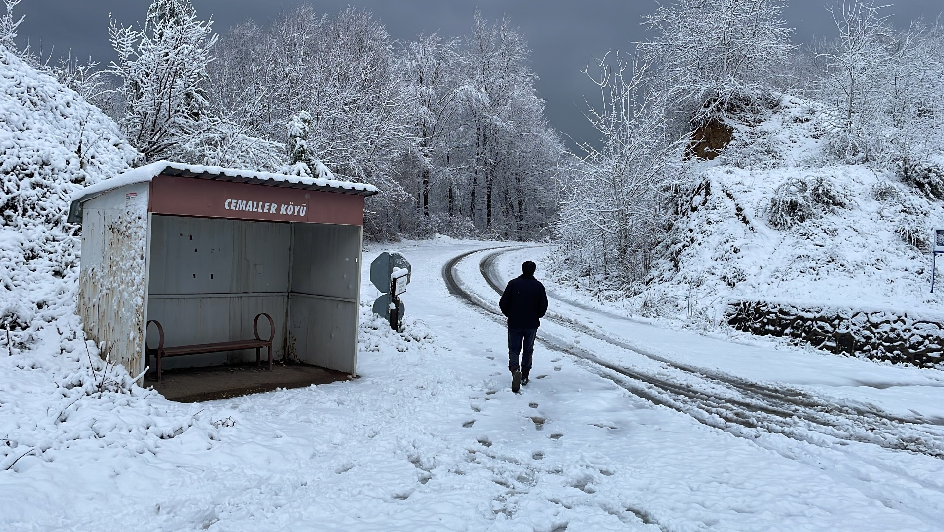 Zonguldak'ta kar ve sis ulaşımı olumsuz etkiliyor 5