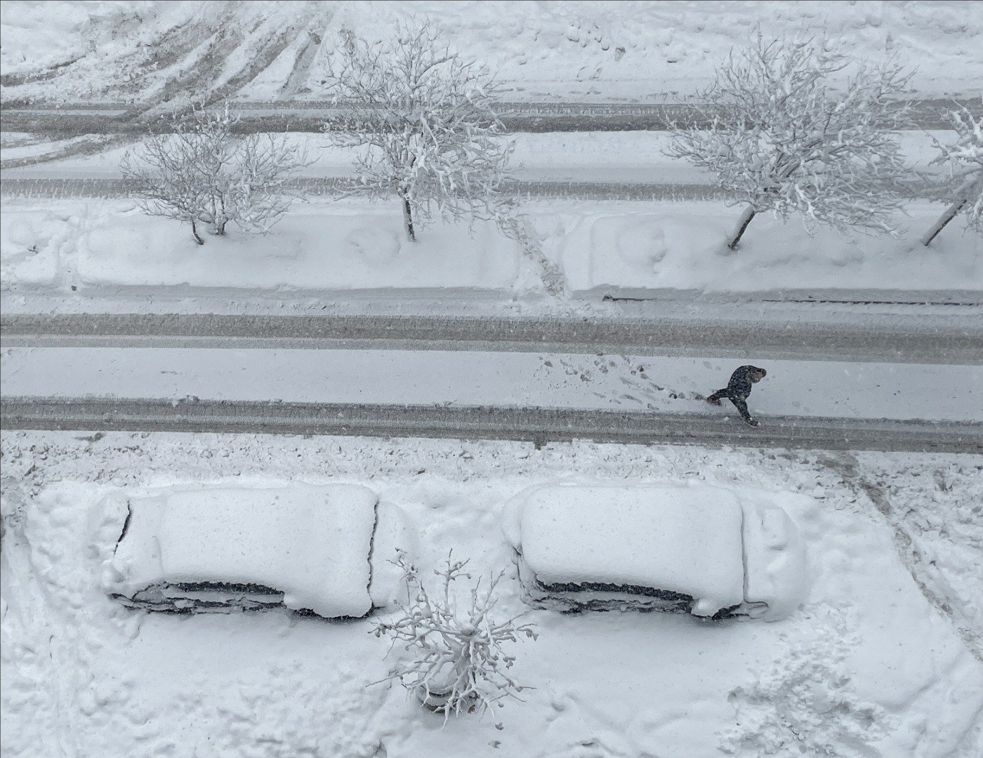 Fotoğraflar Türkiye'nin doğusundan. Kar bir metreyi geçti 13