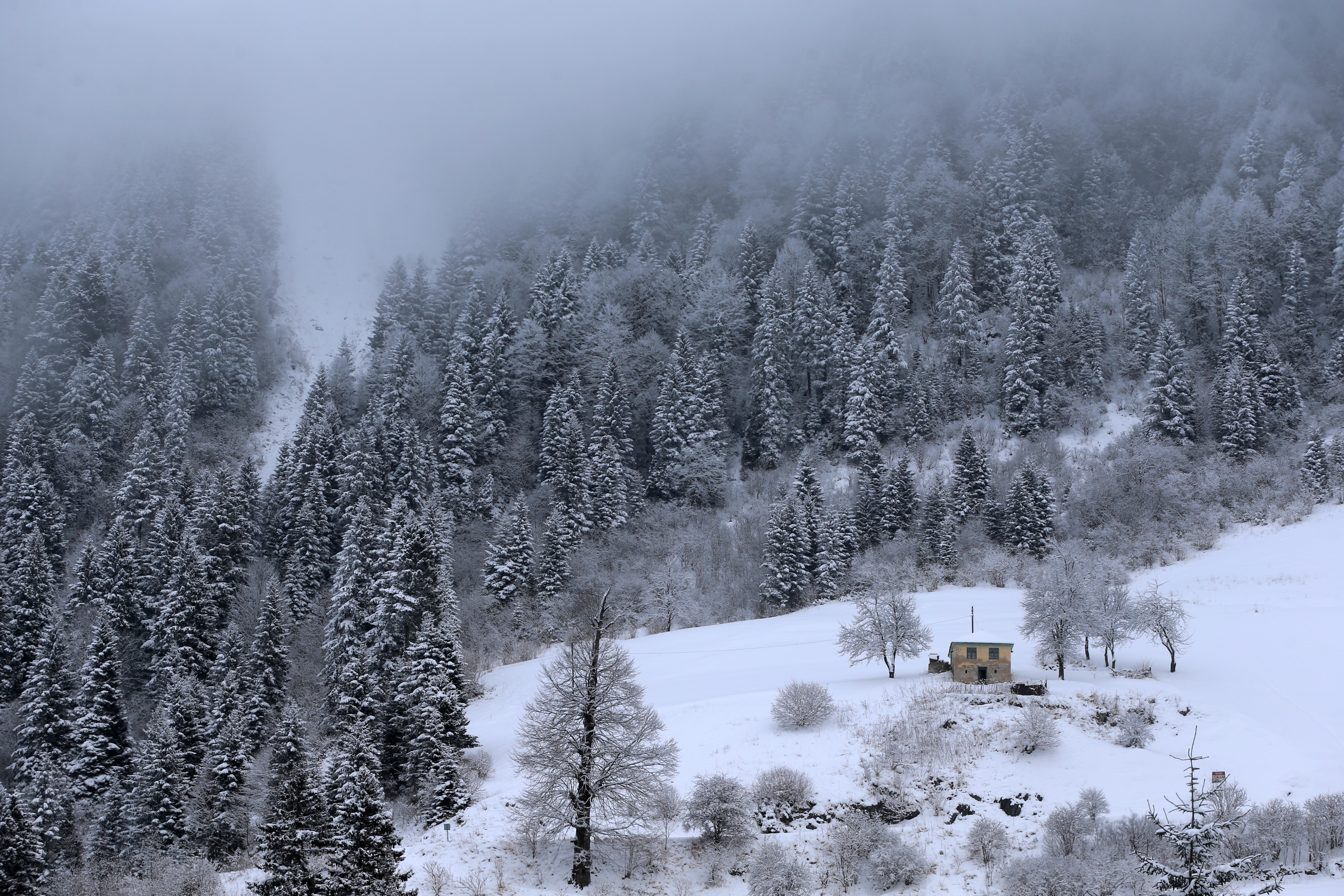 Zigana Dağı'nda kar ve sis etkili oluyor 2