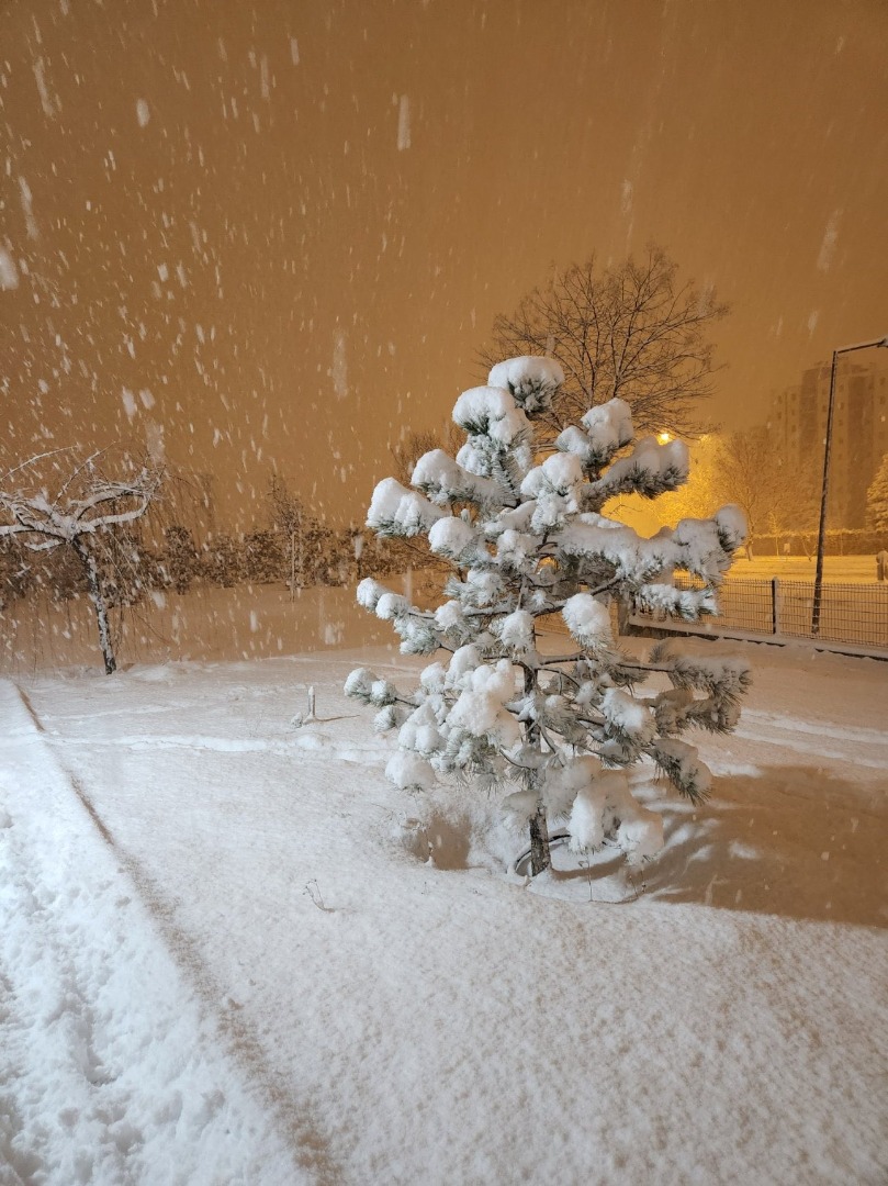 Kar ve tipi Ankara'yı beyaza bürüdü  77