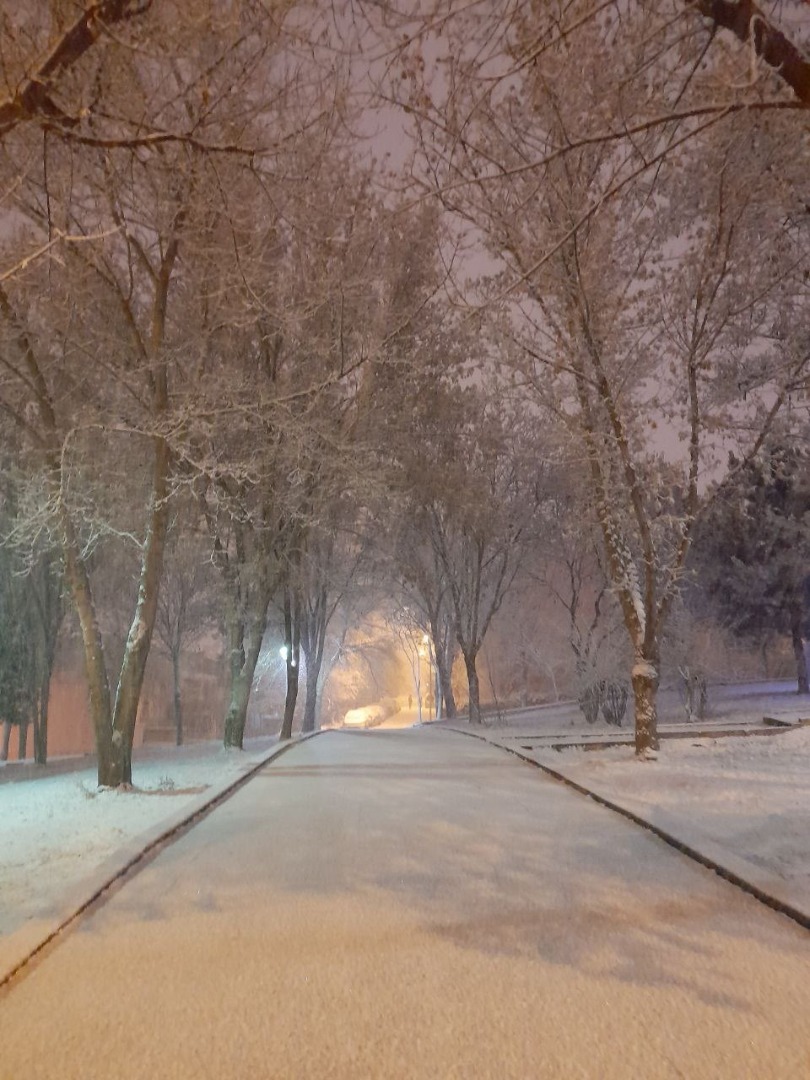 Kar ve tipi Ankara'yı beyaza bürüdü  75