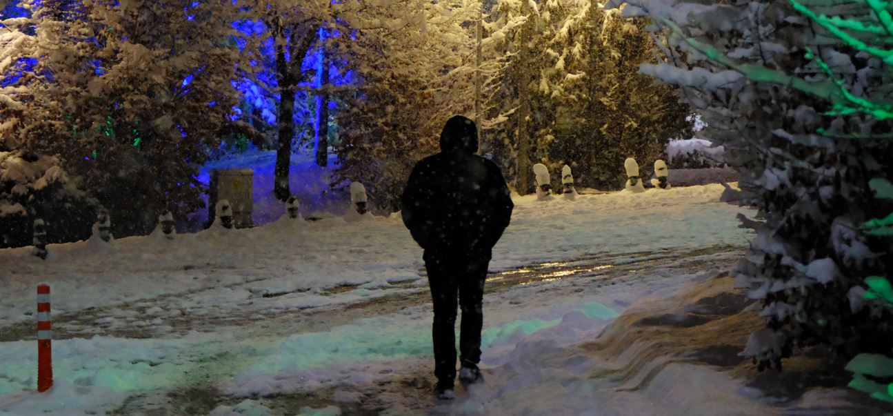 Kar ve tipi Ankara'yı beyaza bürüdü  48