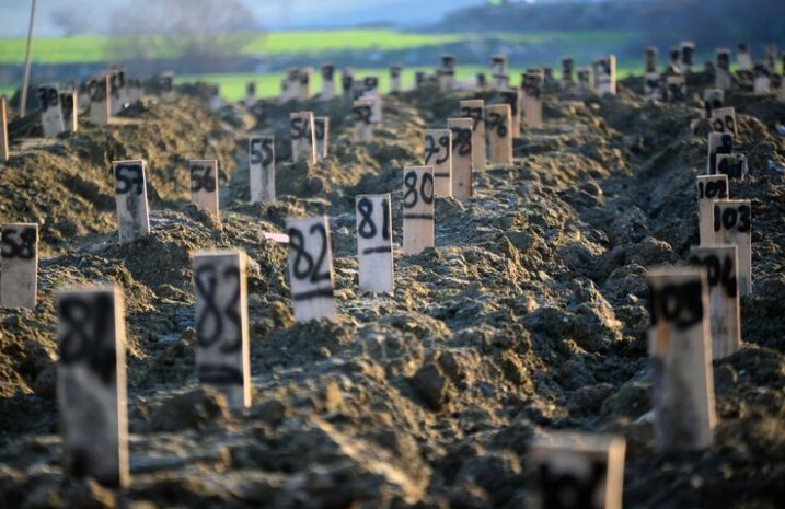 Hatay'da 'deprem mezarlığı' oluşturuldu: Numarayla defnedildiler 8