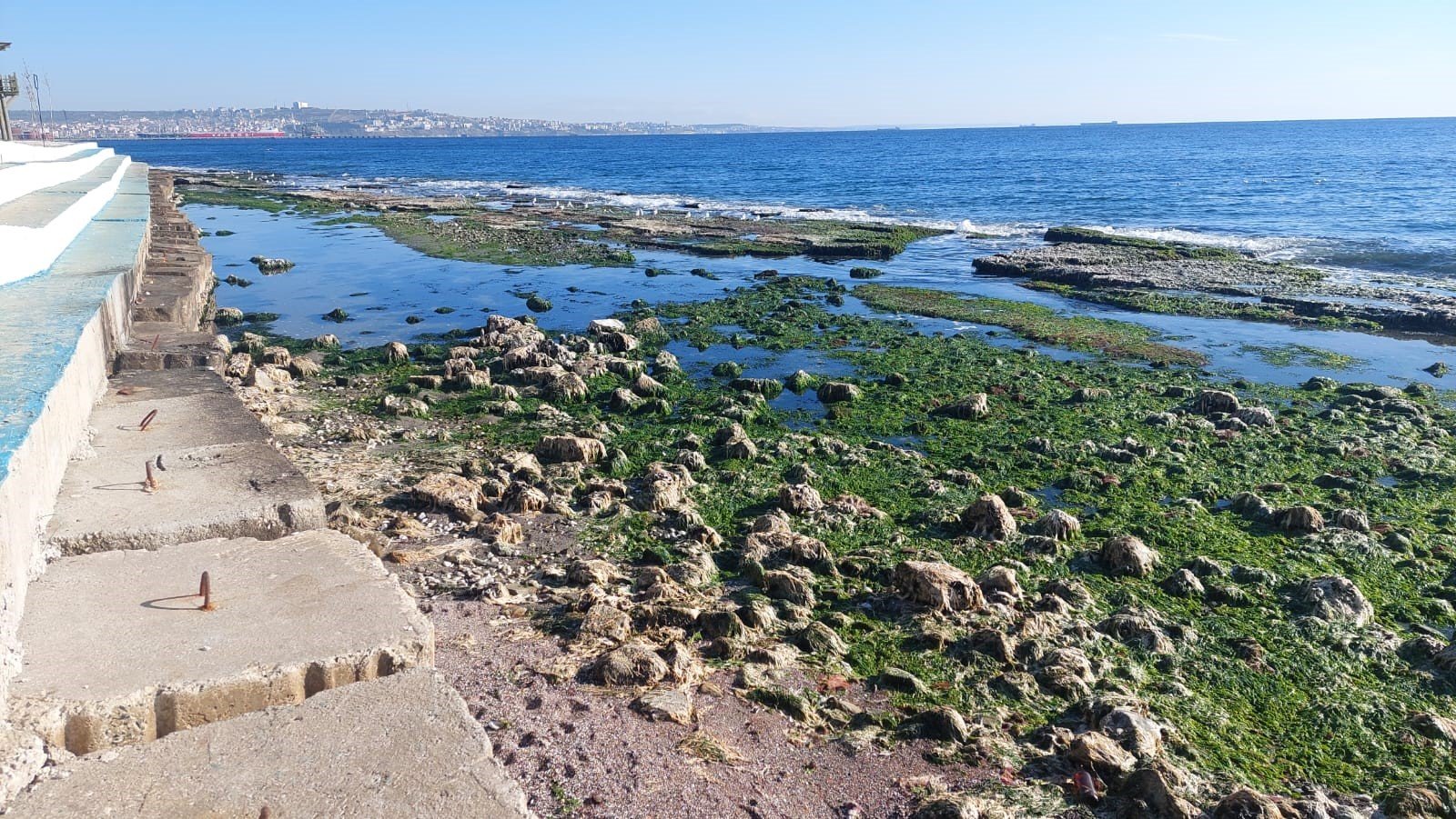 Marmara Denizi 25 metre çekildi 3