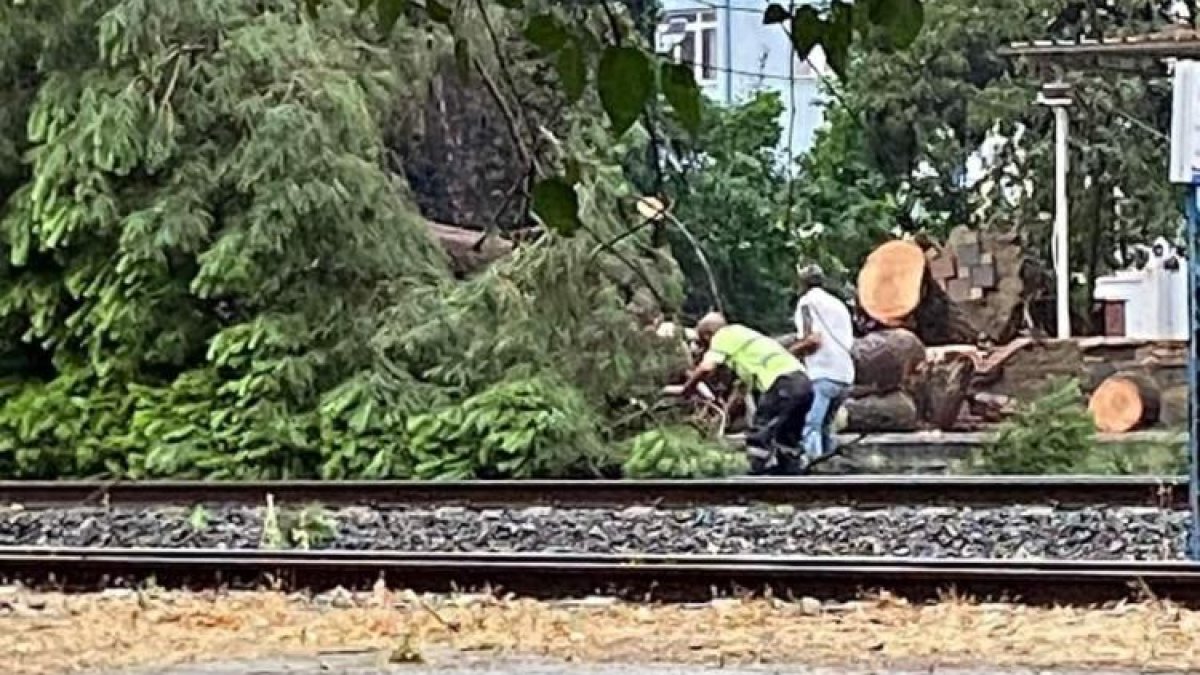 Aydın'da tren seferleri iptal edildi. Fırtına ağacı demiryoluna devirdi