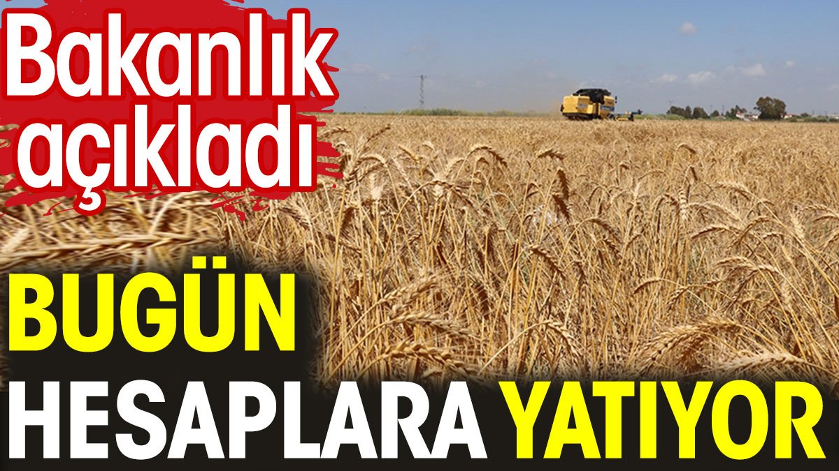 Bakanlık açıkladı. Bugün hesaplara 78,8 milyon lira yatıyor