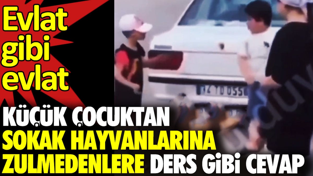 Küçük çocuktan sokak hayvanlarına zulmedenlere ders gibi cevap