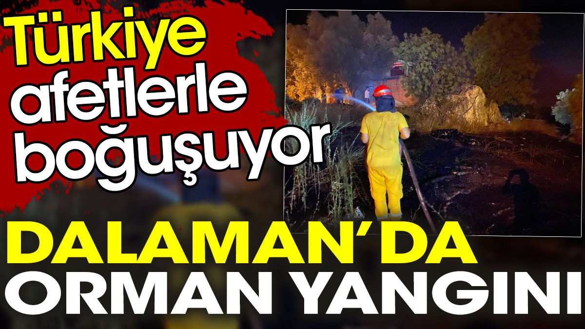 Türkiye afetlerle boğuşuyor. Dalamanda orman yangını çıktı