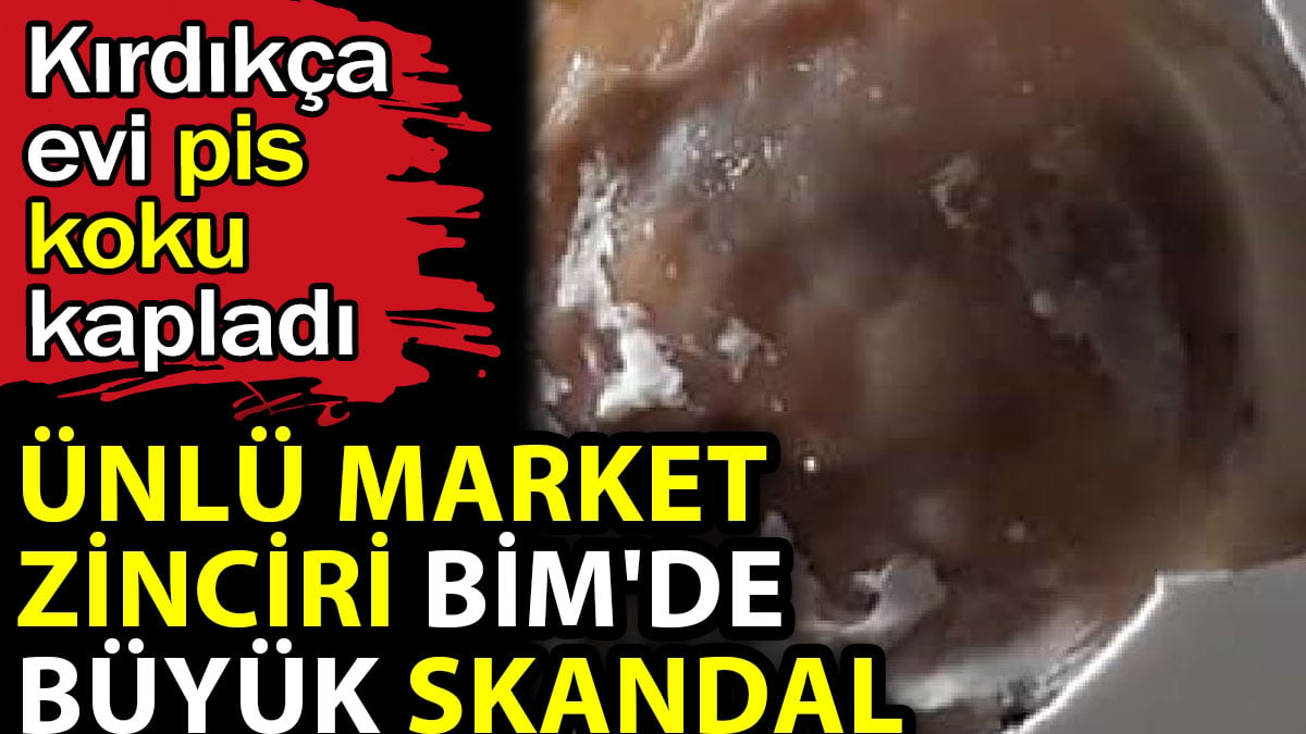 Ünlü market zinciri BİM'de büyük skandal. Kırdıkça evi pis koku kapladı