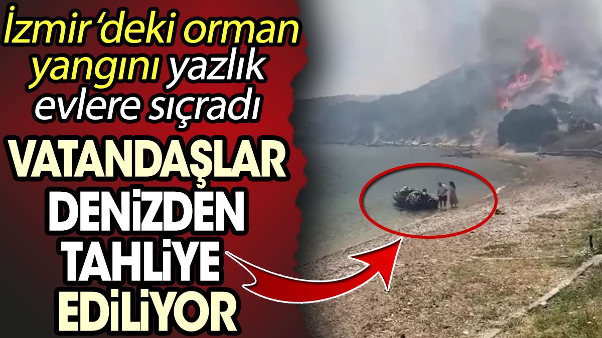 İzmir’deki orman yangını yazlık evlere sıçradı: Vatandaşlar denizden tahliye ediliyor