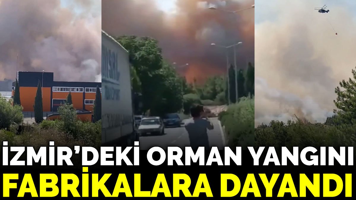 İzmir’deki orman yangını fabrikalara dayandı