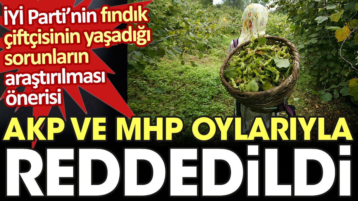 İYİ Parti’nin fındık çiftçisinin yaşadığı sorunların araştırılması önerisi AKP ve MHP oylarıyla reddedildi
