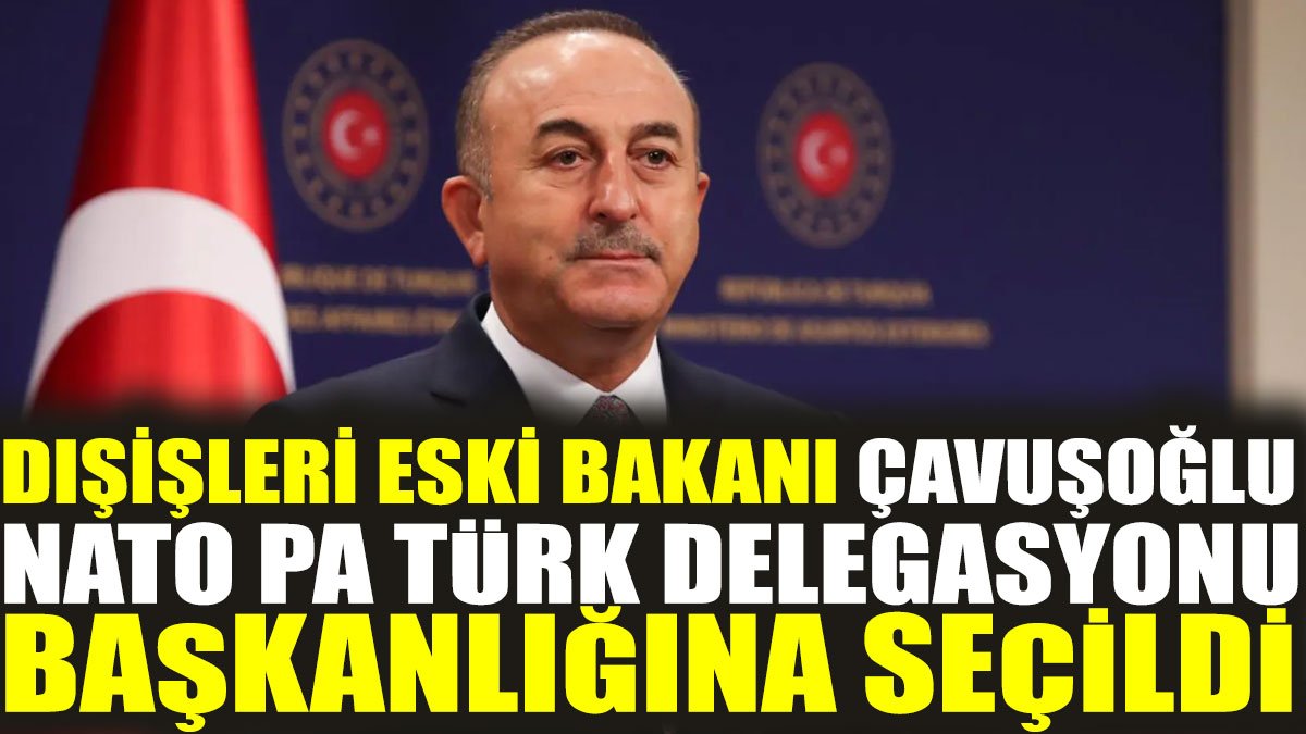 Dışişleri eski Bakanı Mevlüt Çavuşoğlu, NATO PA Türk Delegasyonu Başkanlığına seçildi