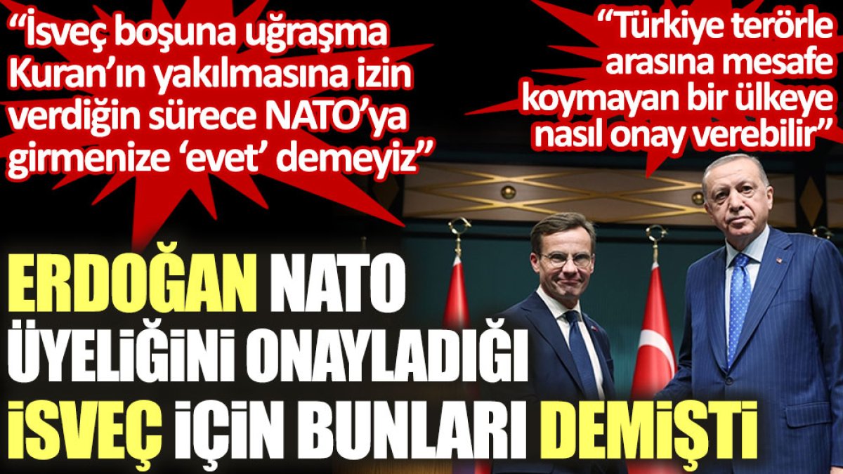 Erdoğan NATO üyeliğini onayladığı İsveç için bakın neler demişti