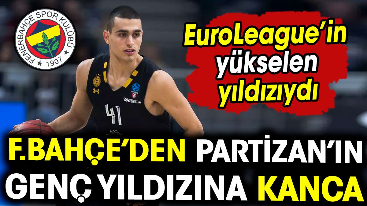 Fenerbahçe Beko Partizan'ın genç yıldızını transfer etti