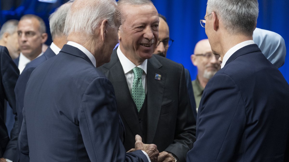 Erdoğan, NATO-Ukrayna Komisyonu'nun Devlet ve Hükümet Başkanları Toplantısı'na katıldı