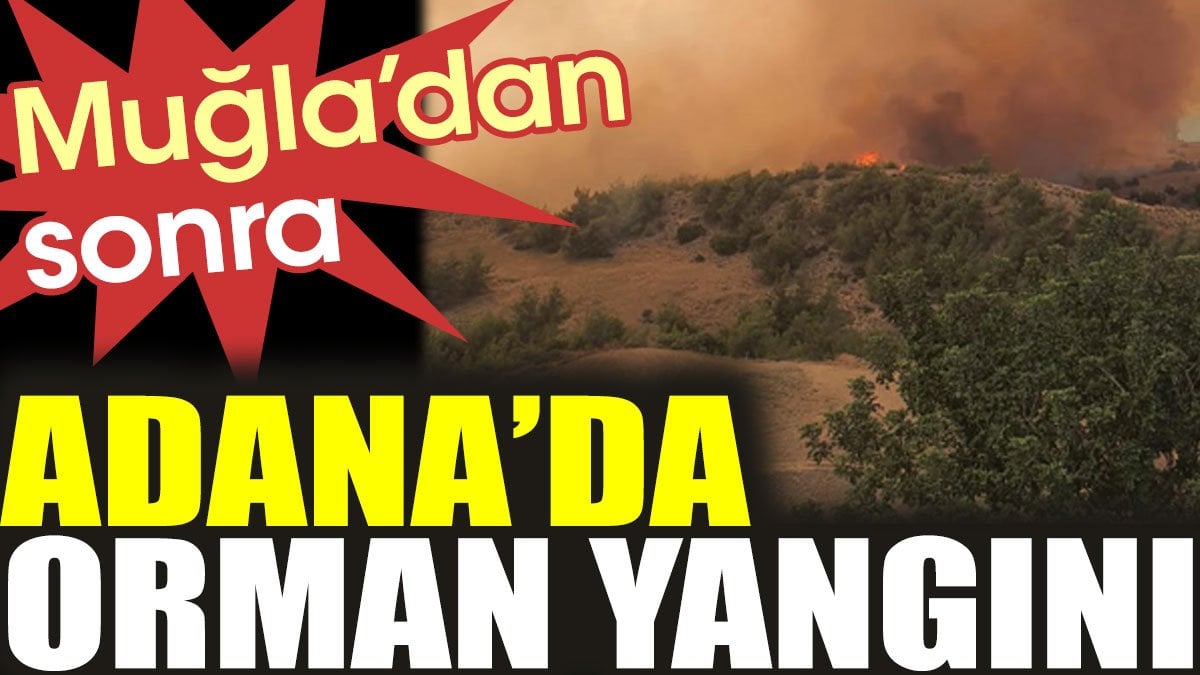 Adana'da orman yangını (12 Temmuz 2023)