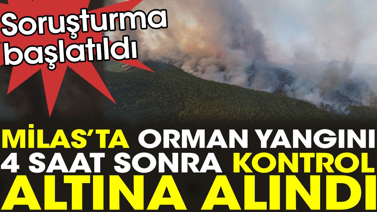 Milas'ta orman yangını 4 saat sonra kontrol altına alındı