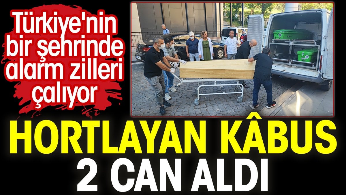 Hortlayan kâbus 2 can aldı. Türkiye'nin bir şehrinde alarm zilleri çalıyor