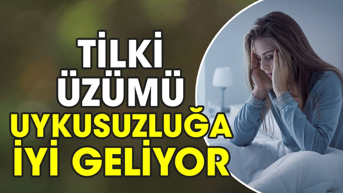 Tilki üzümü uykusuzluğa iyi geliyor