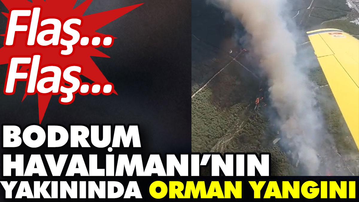 Bodrum Havalimanı’nın yakınında orman yangını