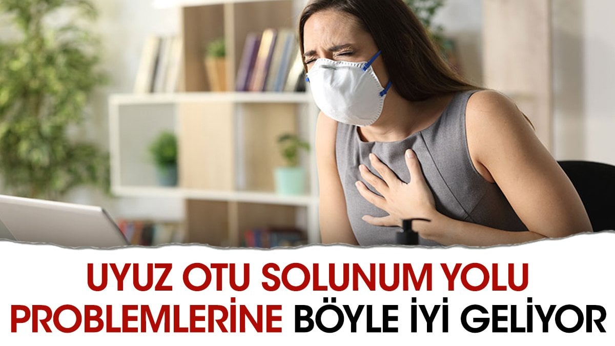 Solunum yolu problemlerine iyi gelen mucize ot ortaya çıktı