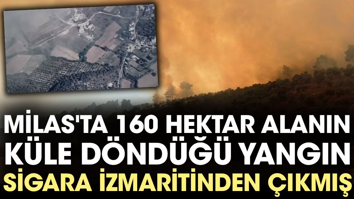 Milas'ta 160 hektar alanın küle döndüğü yangın sigara izmaritinden çıkmış