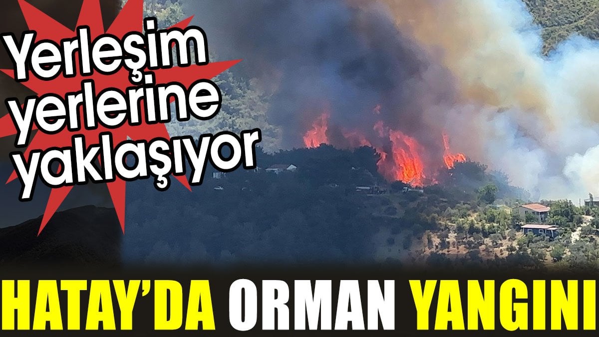 Hatay'da orman yangını