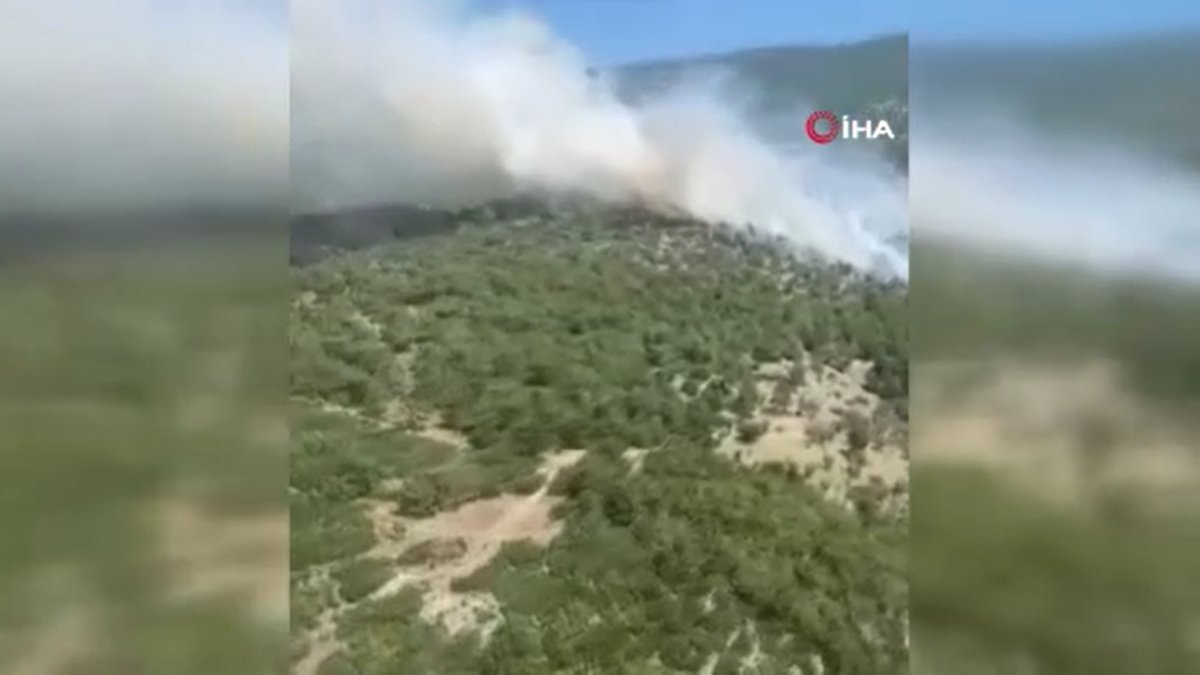 İzmir ve Manisa’da 9 orman yangını söndürüldü
