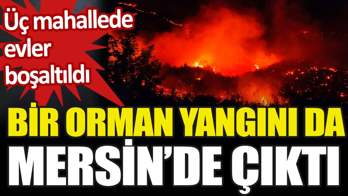 Mersin'de orman yangını: 3 mahallede evler boşaltıldı