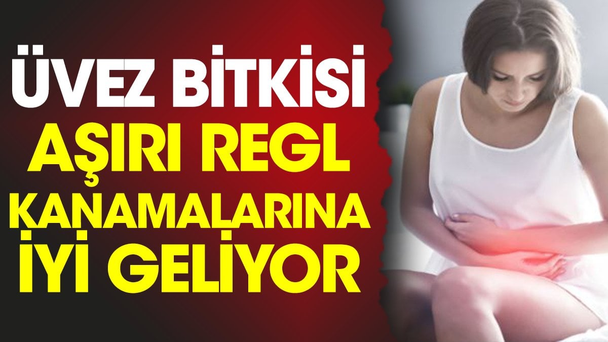 Aşırı regl kanamalarına iyi gelen bitki