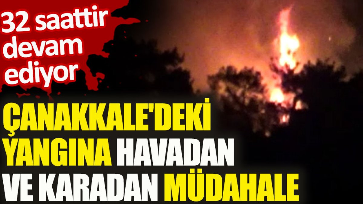 Çanakkale’deki yangına havadan ve karadan müdahale