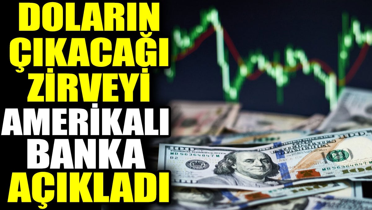 Doların çıkacağı zirveyi Amerikalı banka açıkladı