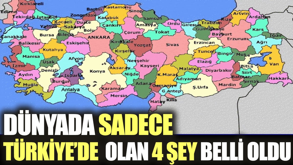 Dünyada sadece Türkiye'de olan 4 şey belli oldu